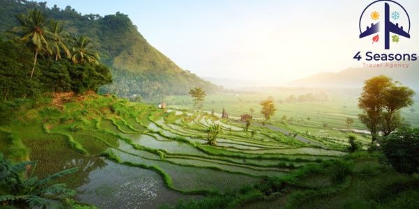 برامج سياحية في أندونيسيا