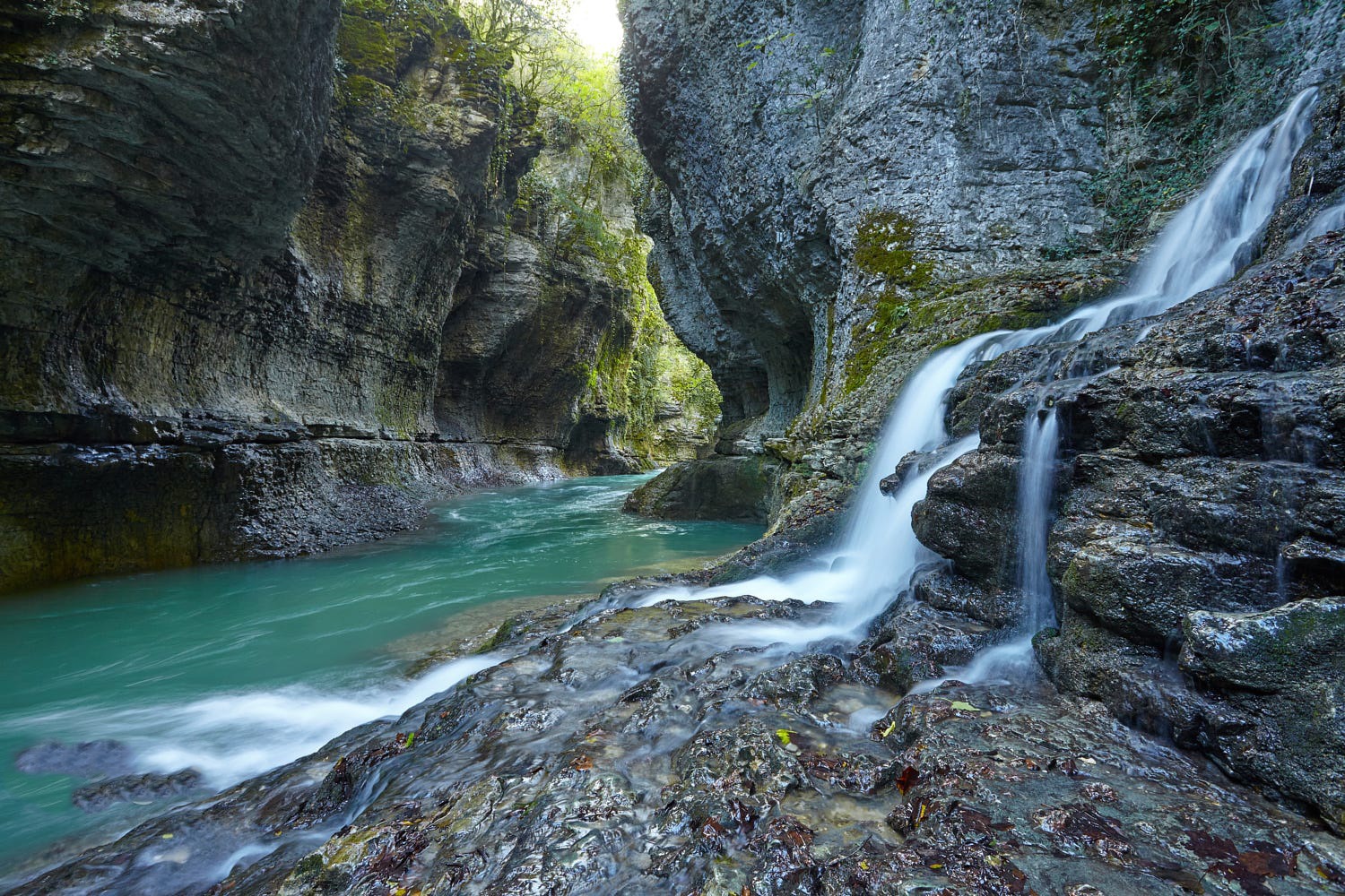 اليوم الرابع : جولات باتومي